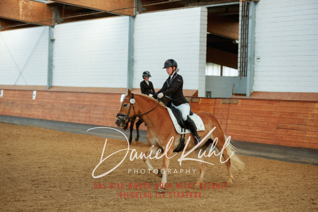 _62_7939 | Turniersportfotografie; Pferdefotografie; Dressurfotografie