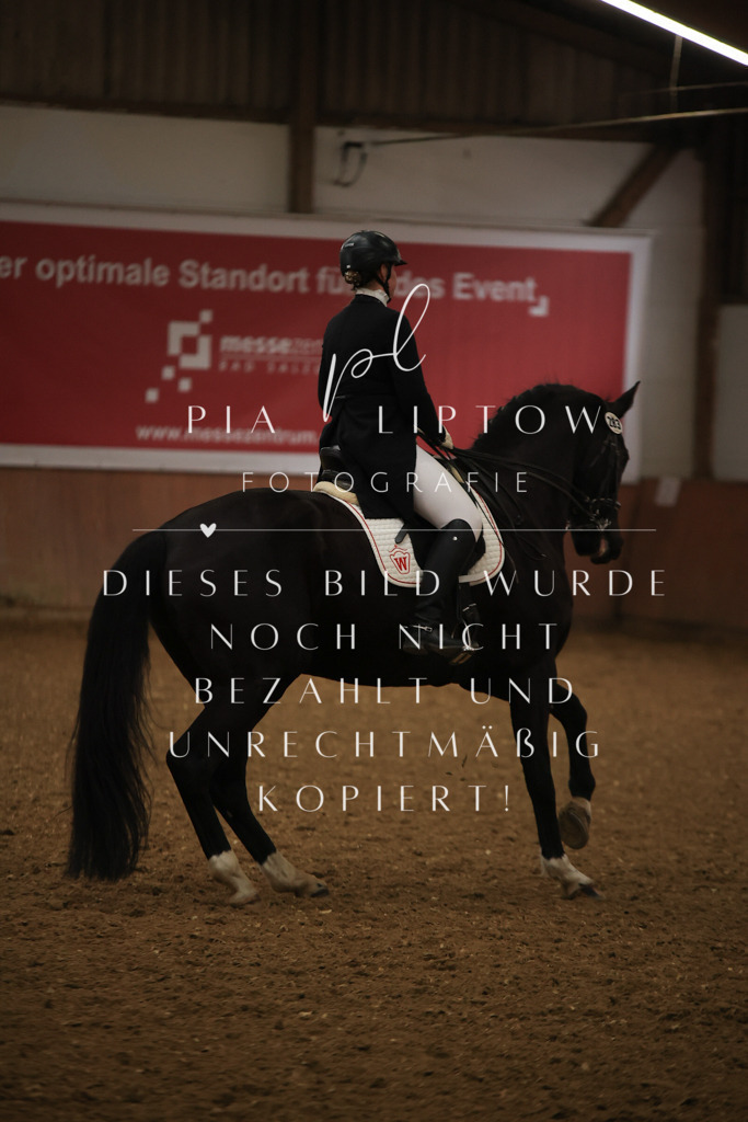 IMGT5857 | pl-fotografie