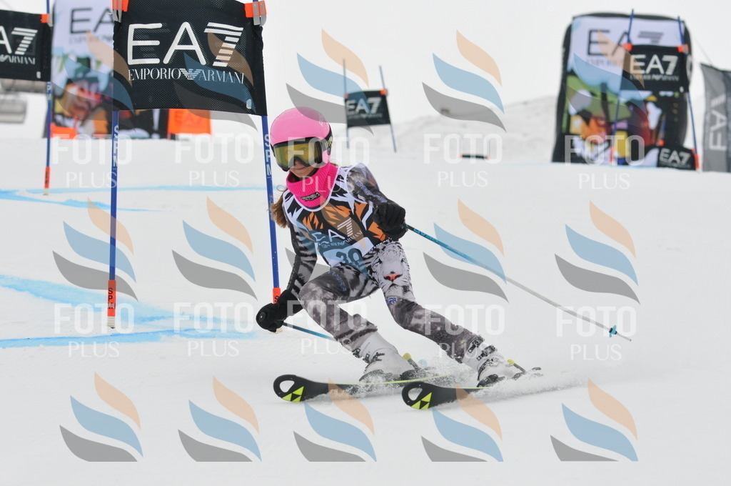 DSC_7549 | holidayphoto