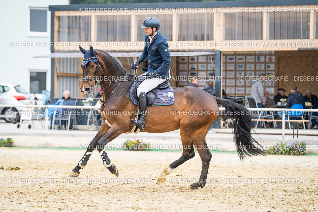 DSC00778 | Pferdegrafie