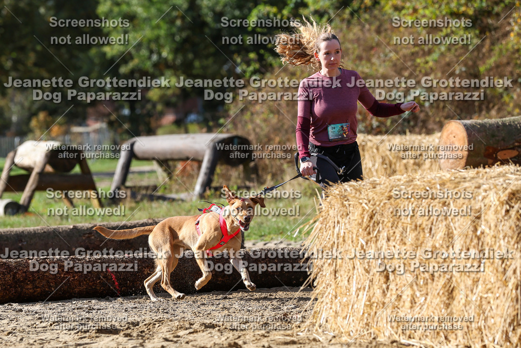 Dog Paparazzi - Strongdog 10-25-4869 | Dog Paparazzi Jeanette Grottendiek Fotografie & Videografie - Realisiert mit Pictrs.com
