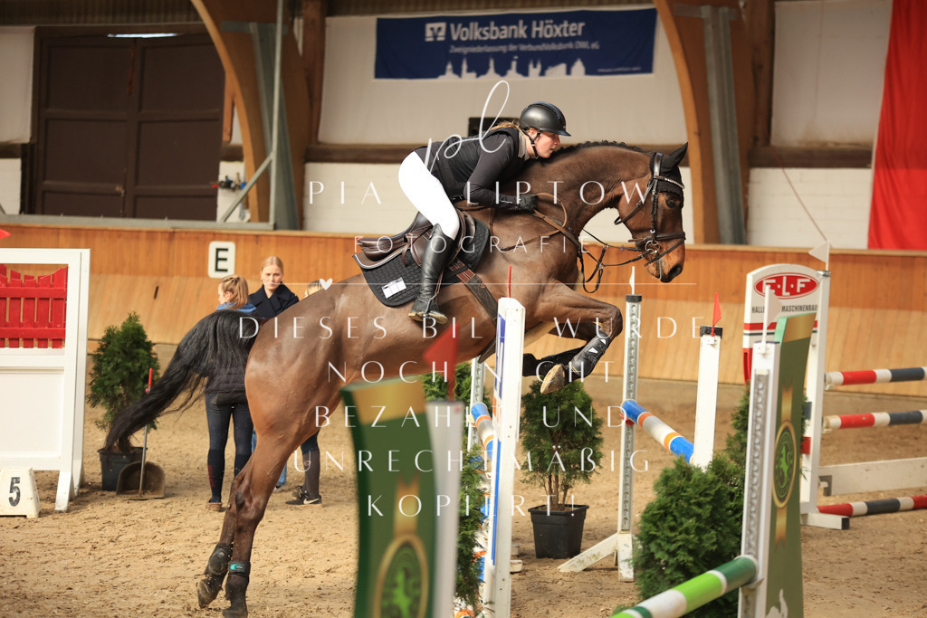 IMGT0972 | pl-fotografie