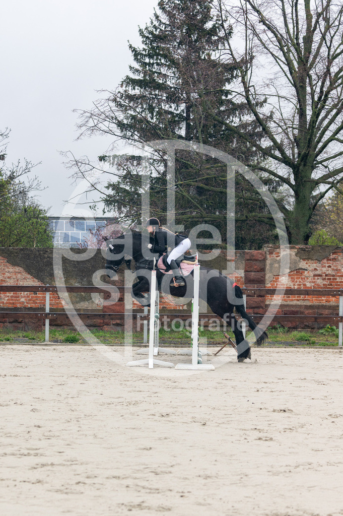 DSC_8205 | sattelsport - Realisiert mit Pictrs.com