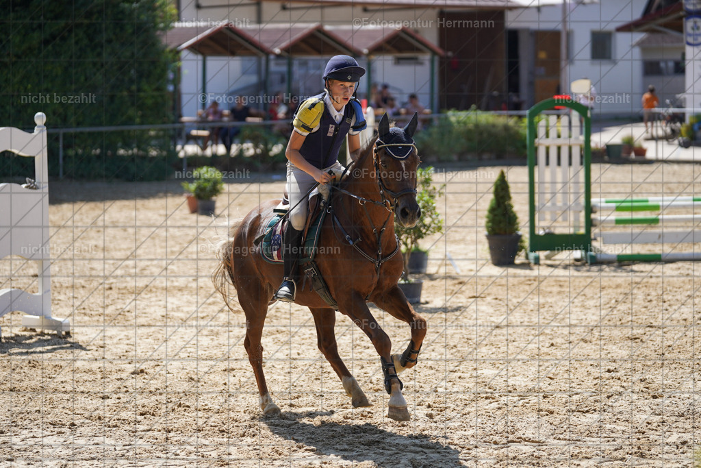 20240824-FAH08083 | Thierhaupten 2024, Bayerisches Landesponyturnier, Turnierbilder, Ponybilder, Turnierfotografen Bayern, Fotoagentur Herrmann