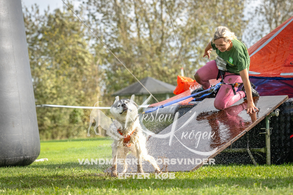 1214-92924 | kk-dogfotos