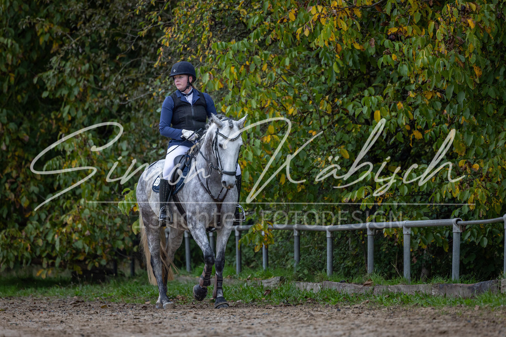 20251012-_3LI2569 | Tierfotografie Pferde, Hunde, Katzen, Haustiere.
Turnierfotografie Reitturniere, Reiten, Springreiten, Dressur in Hanau, dem Main-Kinzig-Kreis und dem Rhein-Main- Gebiet um Frankfurt