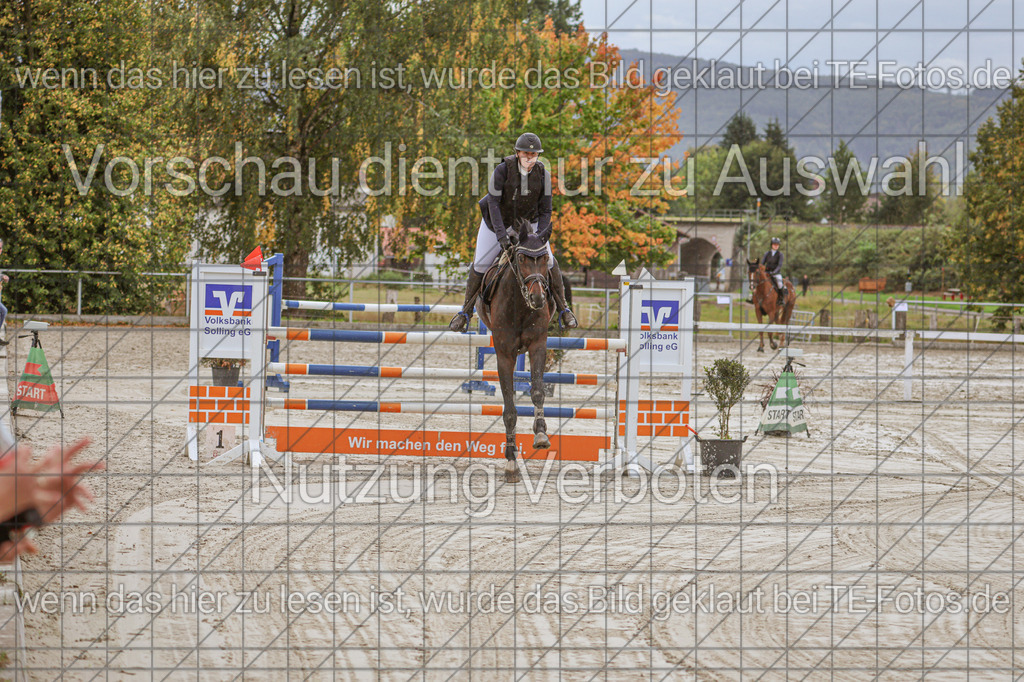 2025-09-22_11-03-44_MG_8679 | TE-Fotos