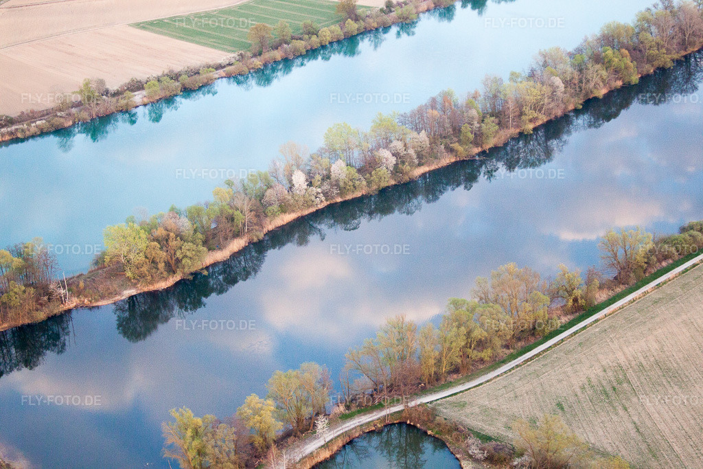 Luftbild: Uferbereiche am Fluß Altrhein in Neupotz im Bundesland Rheinland-Pfalz in Deutschland. Foto: IMG_63502.jpg vom 28.03.2014 durch Werner Riehm/FLY-FOTO.de