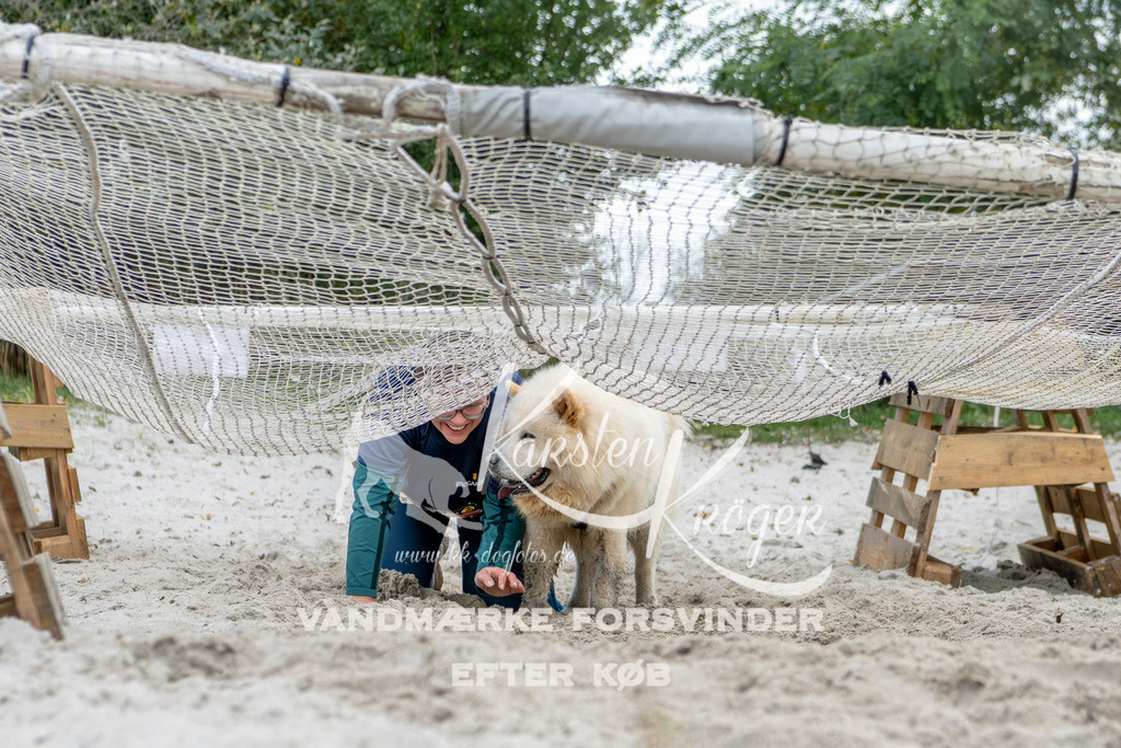 1537_ZZ95915 | kk-dogfotos