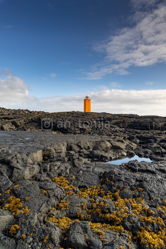 JB3A2978 | antonija-trupina - Realisiert mit Pictrs.com