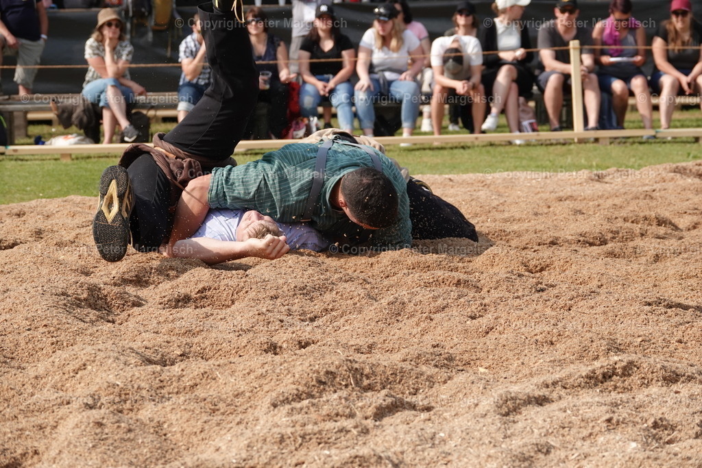 DSC04493 | Schwingen - Realisiert mit Pictrs.com