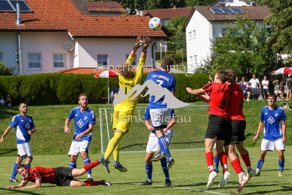 993T7647 | Medien- Sport- Entertainmentfotos