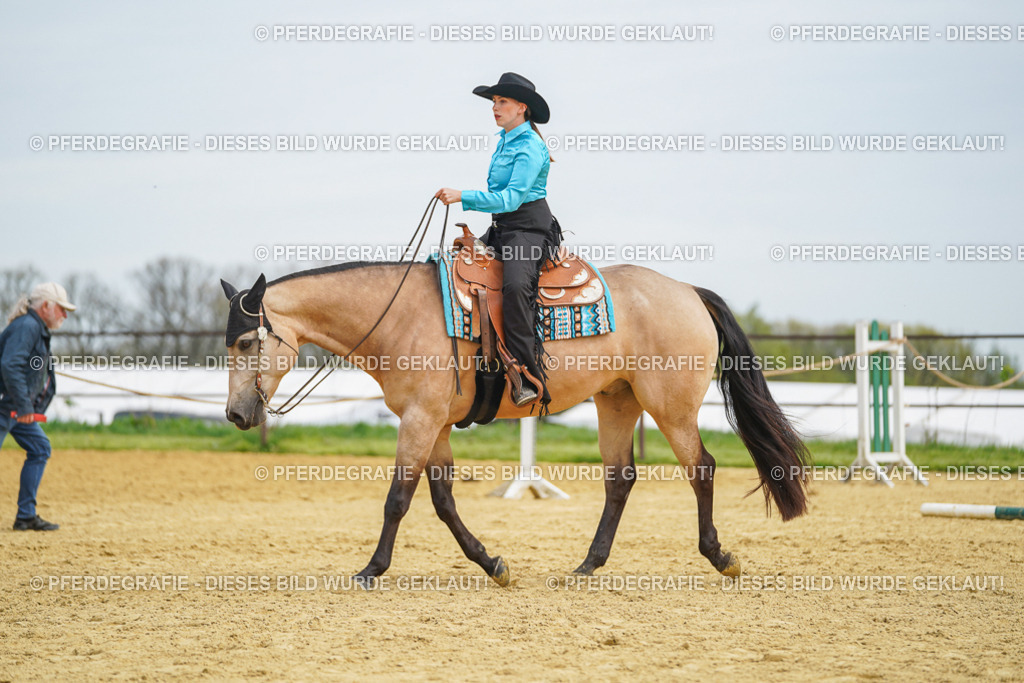 DSC03439 | Pferdegrafie