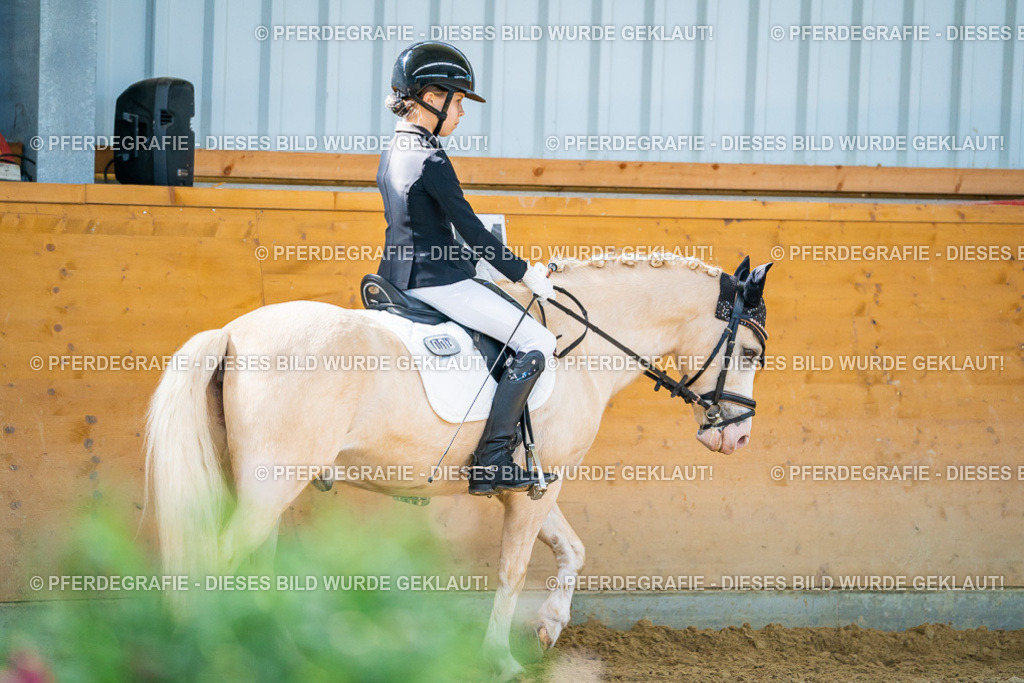 DSC07367 | Pferdegrafie