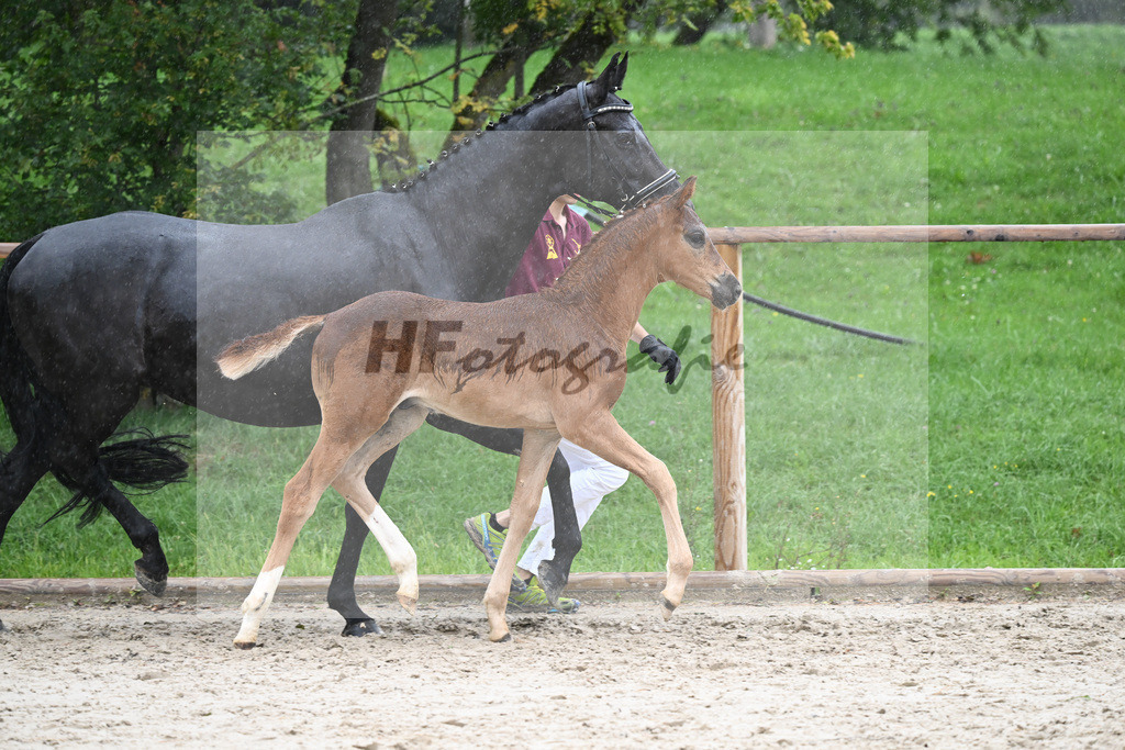 Kat-Nr. 33 HF For Romance I_Reulein_25230378 | hf-fotografie - Realizzato con Pictrs.com