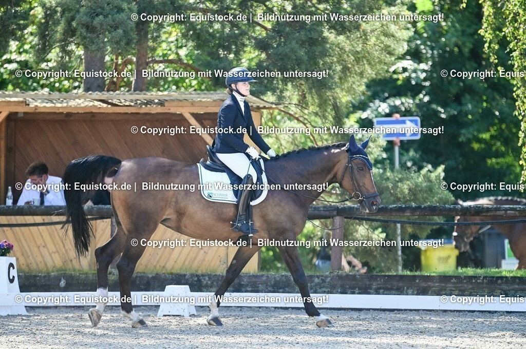 20230908_06_Dressur-L-Trense_0463 | equistock