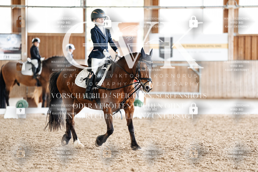 CK900688 | Turnierfotografie Pferdefotografie Trier Rheinland-Pfalz Pferdesport Reitsport Tierfotografie Sportfotografie Pferdevideo Pferdevideografie Equestrianvideography equestrianphotography  - Realisiert mit Pictrs.com