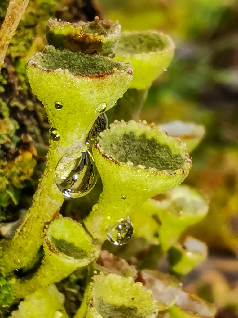 PSX_20230219_222919 | mtkfoto_ - Realisiert mit Pictrs.com