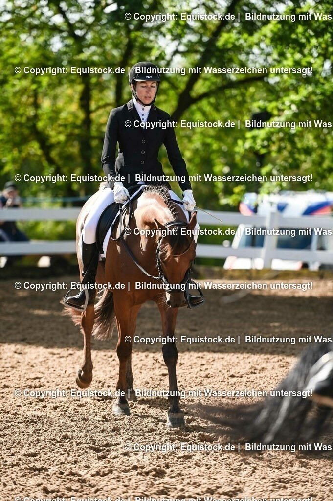 20230716_04_Dressurreiterprüfung Kl.A_0146 | equistock