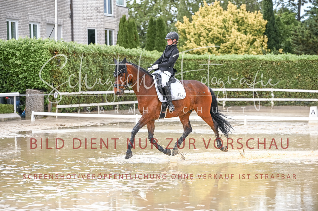 Schugtsche-Aluta25-54.Dressurprf.L1Trense-142 | Schugtsche Fotografie - Realisiert mit Pictrs.com
