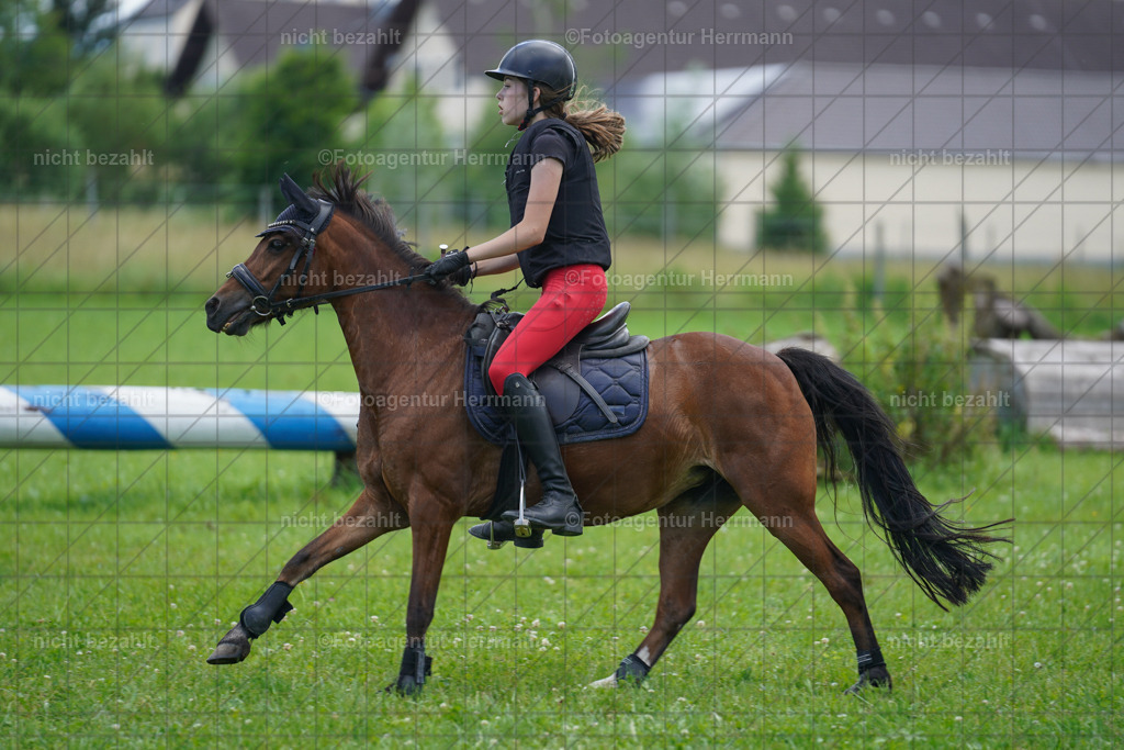 20240622-FAH07377 | Turnierfotografen Bayern, Reitsportbilder aus dem Geländekurs mit Felix Etzel auf dem Gut Waitzacker 2024
