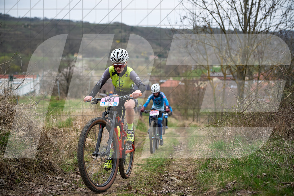 34. KTM Kamptal Trophy  | ZÖBING, Österreich – 2026-03-28: 34. KTM Kamptal TrophyFoto: © 2026 Martin Bihounek - MB Creative e.U.