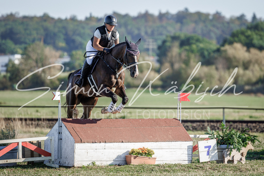 20260905-_3LI0723 | Tierfotografie Pferde, Hunde, Katzen, Haustiere.
Turnierfotografie Reitturniere, Reiten, Springreiten, Dressur in Hanau, dem Main-Kinzig-Kreis und dem Rhein-Main- Gebiet um Frankfurt