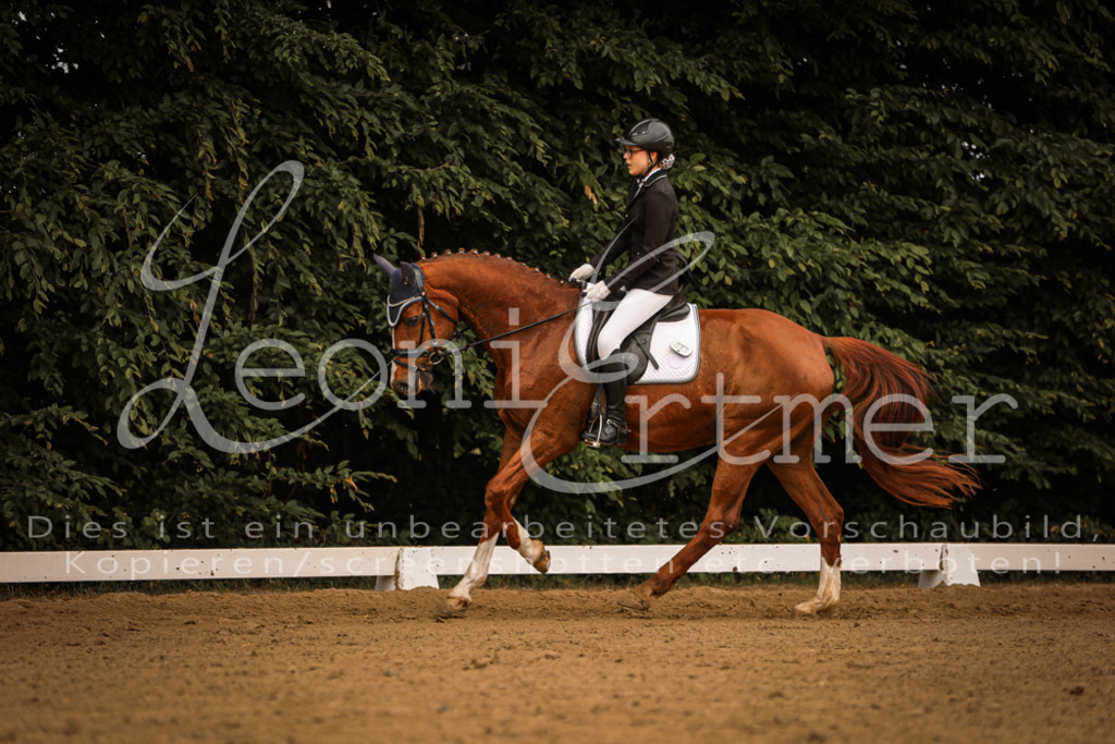 DoDrE00119 | Leoni Ertmer Photography - Realisiert mit Pictrs.com