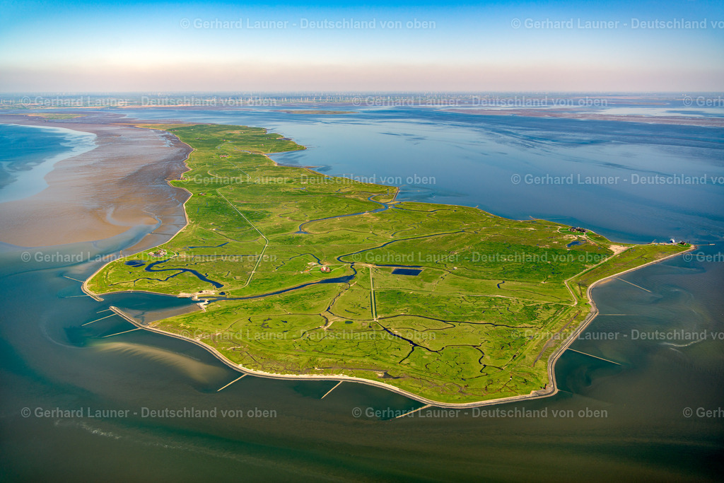 3801894 | Nordmarsch-Langeness, Nationalpark Schleswig-Holsteinisches Wattenmeer