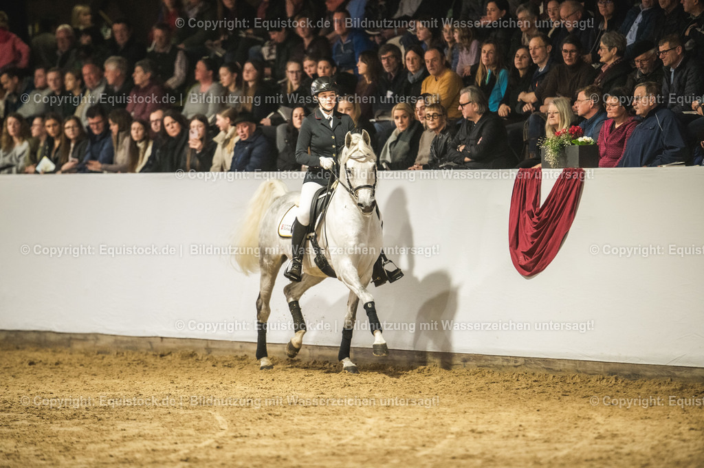 20240302_Hengstvorstellung_Marbach_TOMsPiC_0986 | equistock