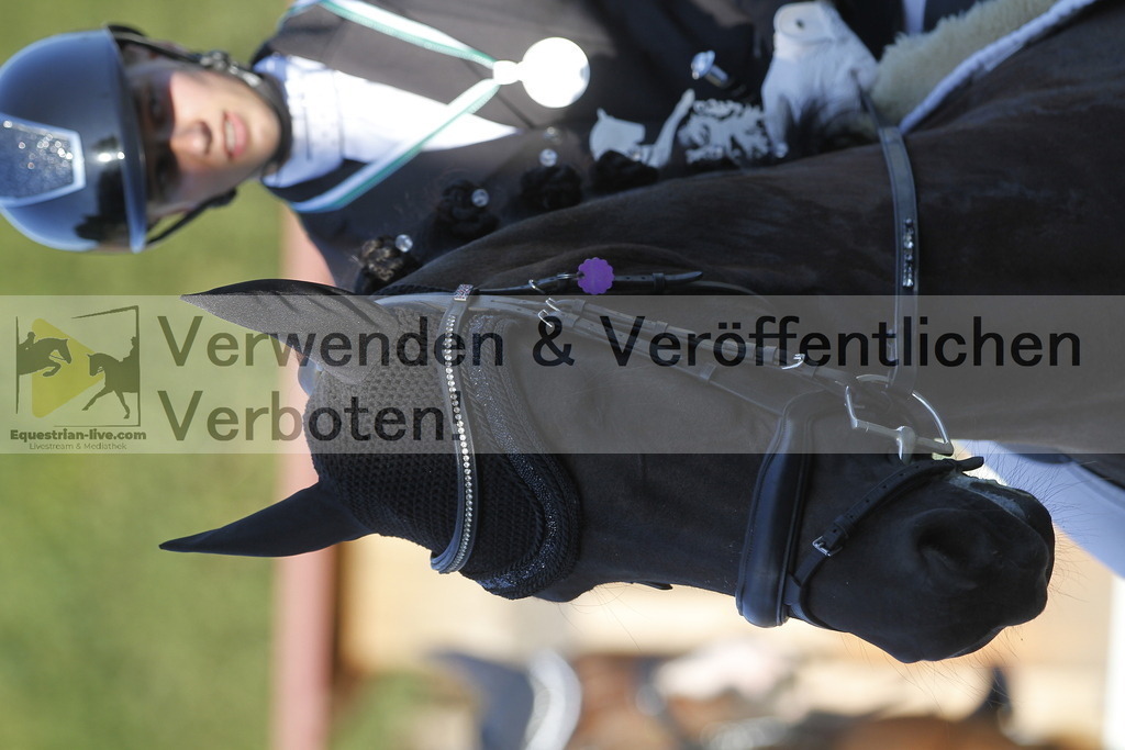 _MG_3077 | equestrian-live-com