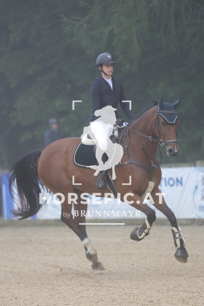 0P6A0317 | Willkommen bei Brunnmayr - Design & Fotografie – Ihrem Spezialisten für Reitturniere und Pferdeveranstaltungen in Oberösterreich, Salzburg und Bayern! Seit über 17 Jahren sind wir leidenschaftlich dabei.