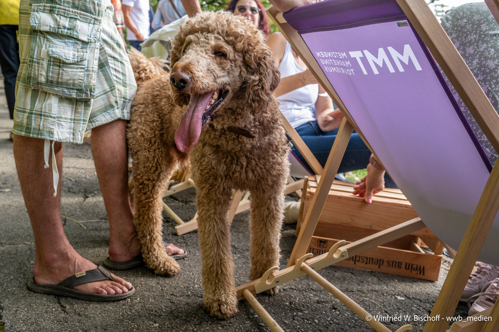 _DSC1257 | <Fotografie> <Video> <Film> <Winfried Bischoff> - Realisiert mit Pictrs.com