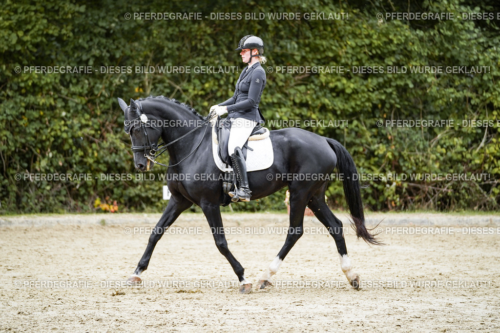 DSC02252 | Pferdegrafie