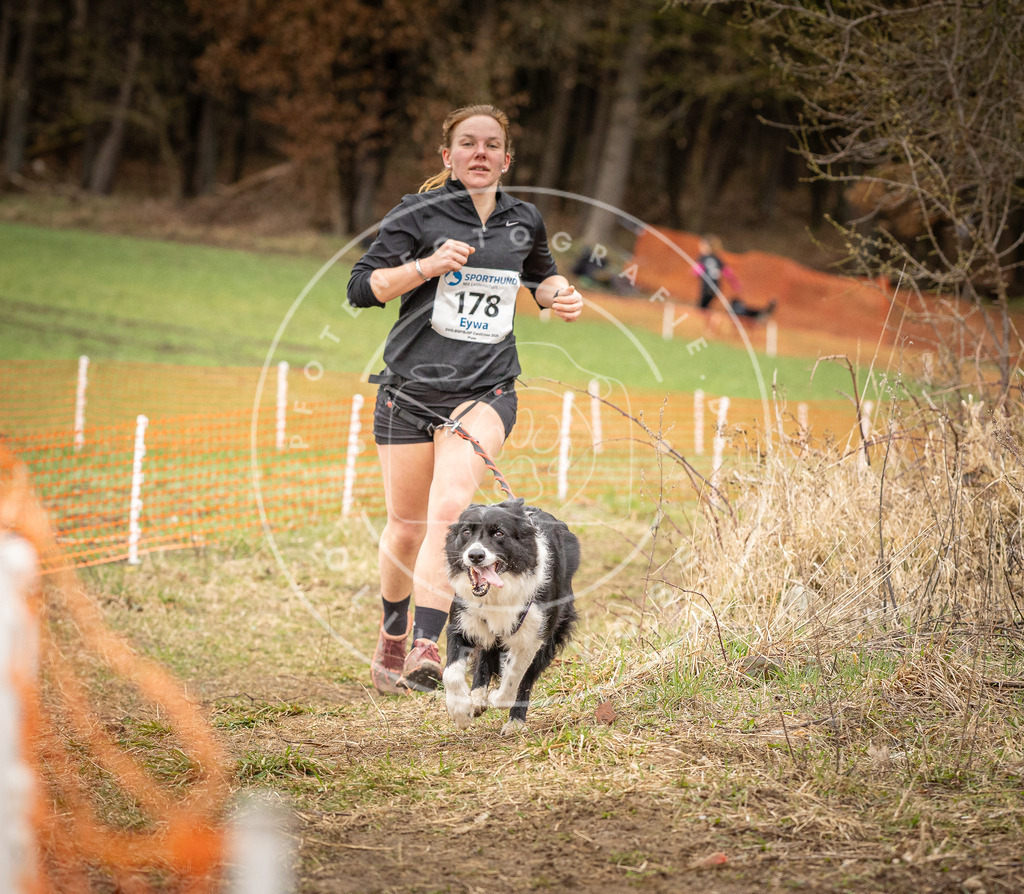 DV3A2467 | Hundefotografie, Tierfotograf, Pfotenfotografie, Fotoshooting Hund, Hunde Portrait, Hundesport, Hundeportraits, Heideshooting, Hunde, Sportfotograf, Hundefotograf, Turnierhundsport, THS,  - Realisiert mit Pictrs.com