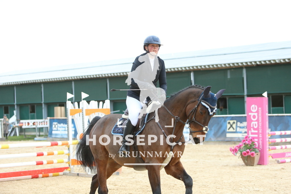 DL2Q2097 | Willkommen bei Brunnmayr - Design & Fotografie – Ihrem Spezialisten für Reitturniere und Pferdeveranstaltungen in Oberösterreich, Salzburg und Bayern! Seit über 17 Jahren sind wir leidenschaftlich dabei.