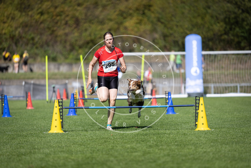 Pfotenfotografie_DV3A7588 | Hundefotografie, Tierfotograf, Pfotenfotografie, Fotoshooting Hund, Hunde Portrait, Hundesport, Hundeportraits, Heideshooting, Hunde, Sportfotograf, Hundefotograf, Turnierhundsport, THS,  - Realisiert mit Pictrs.com