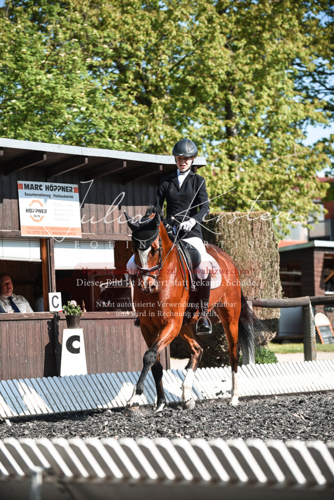 DSC_8661 | Pferde- und Turnierfotografie in Westsachsen. Pferdeportraits, Auftragszeichnungen und intuitive Kunst.