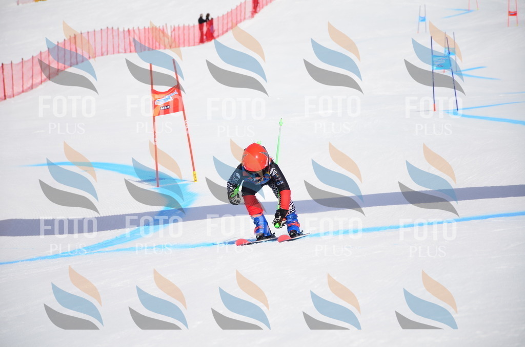 VR4_6865 | holidayphoto