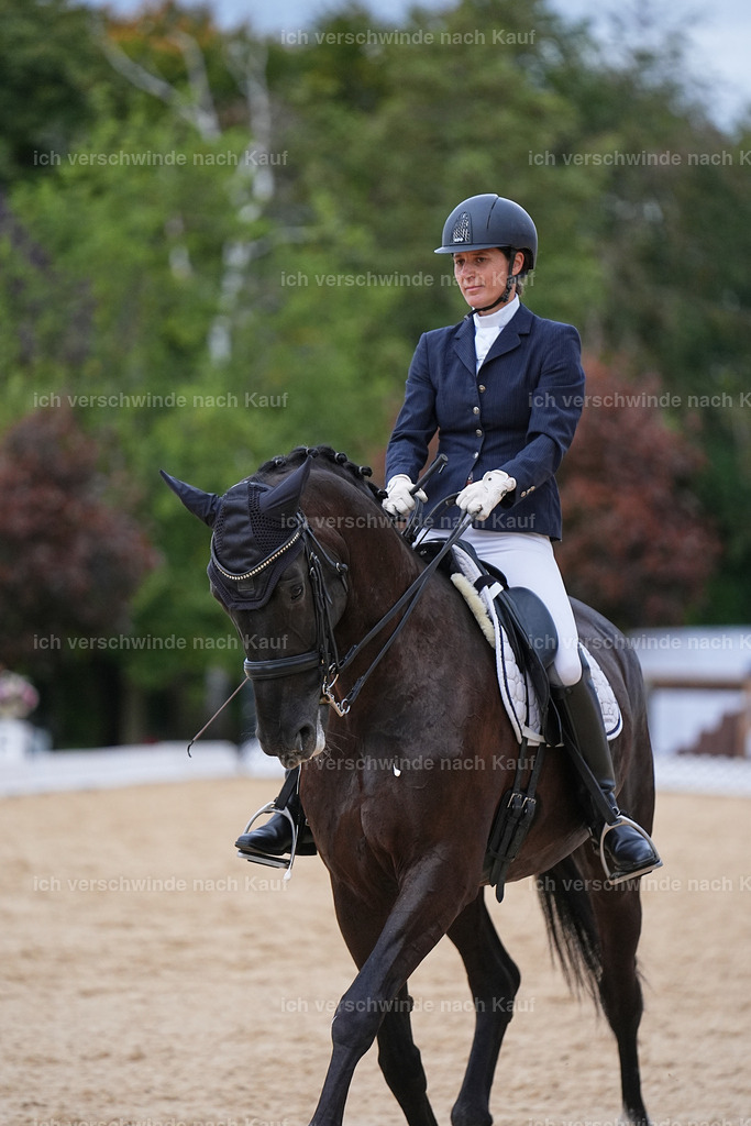 04_2-202-Dressur M__ -Marixx-3059 | working equitationturnier fotograf videograf stoibphotography marixx film working equitation deutschland reitsport turnierfotografie eventfotografie equestrian events