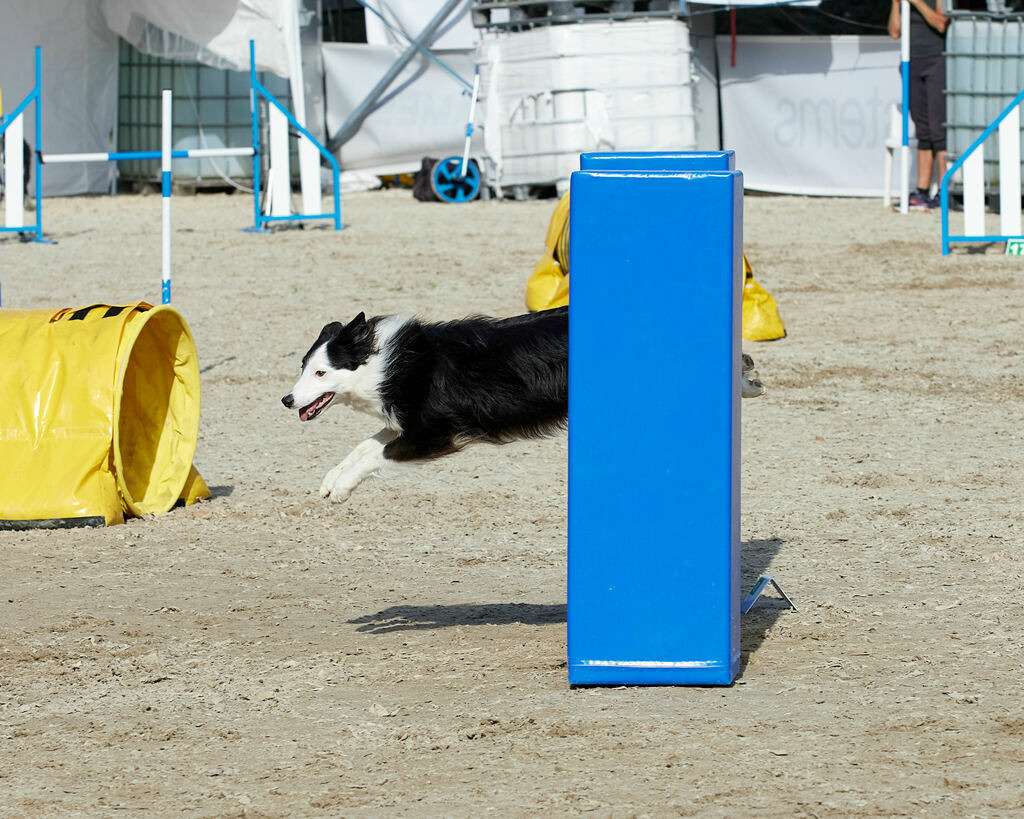 580B0067 | Peter Fridle Fotografie - Realisiert mit Pictrs.com