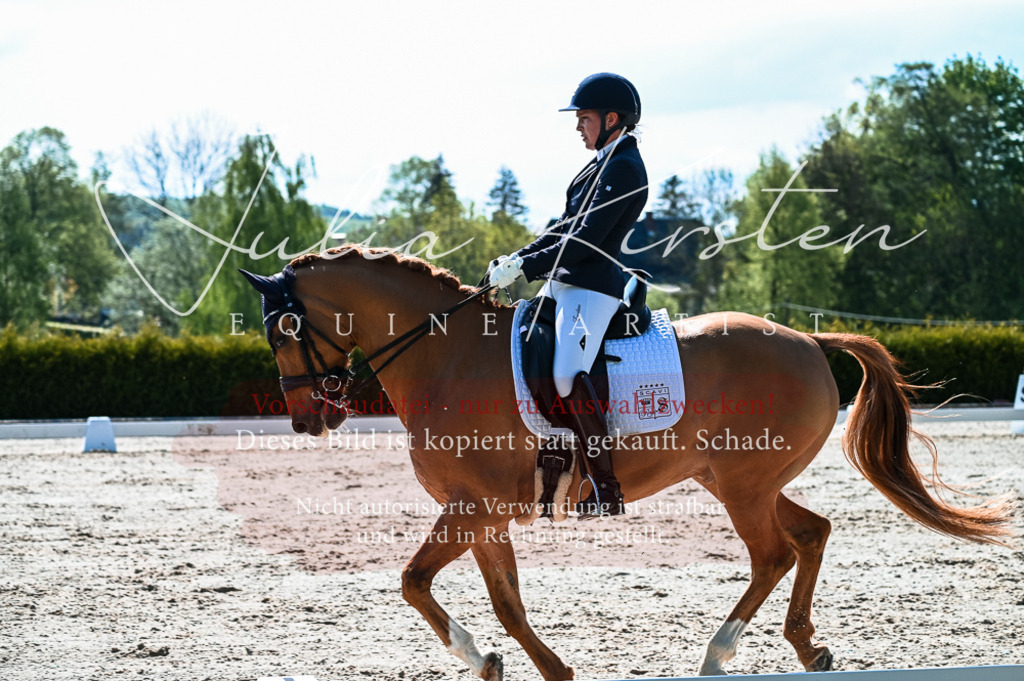 20230513_JK-Röhrsdorf-10-0296 | Pferde- und Turnierfotografie in Westsachsen. Pferdeportraits, Auftragszeichnungen und intuitive Kunst.