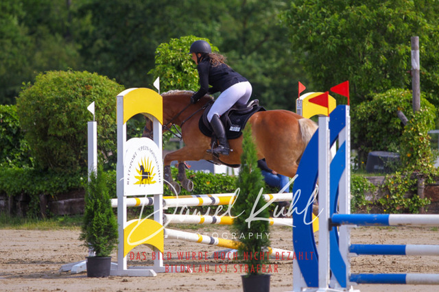 DKP41331 | Turniersportfotografie; Pferdefotografie; Dressurfotografie