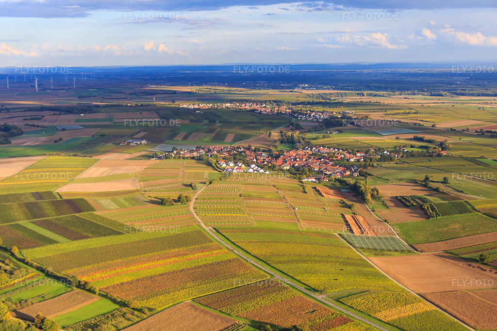 Luftbild: Ortsansicht zwischen herbstlichen Weinbergen aus Westen in Impflingen im Bundesland Rheinland-Pfalz in Deutschland. Foto: IMG_074604.jpg vom 14.10.2014 durch Werner Riehm/FLY-FOTO.de