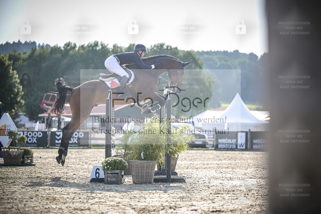 DOS_1435 | Entdecke hochwertige Reitturnierfotos von Foto Oger. Professionell, emotional und authentisch – jetzt Lieblingsmomente im Shop bestellen. - Realisiert mit Pictrs.com