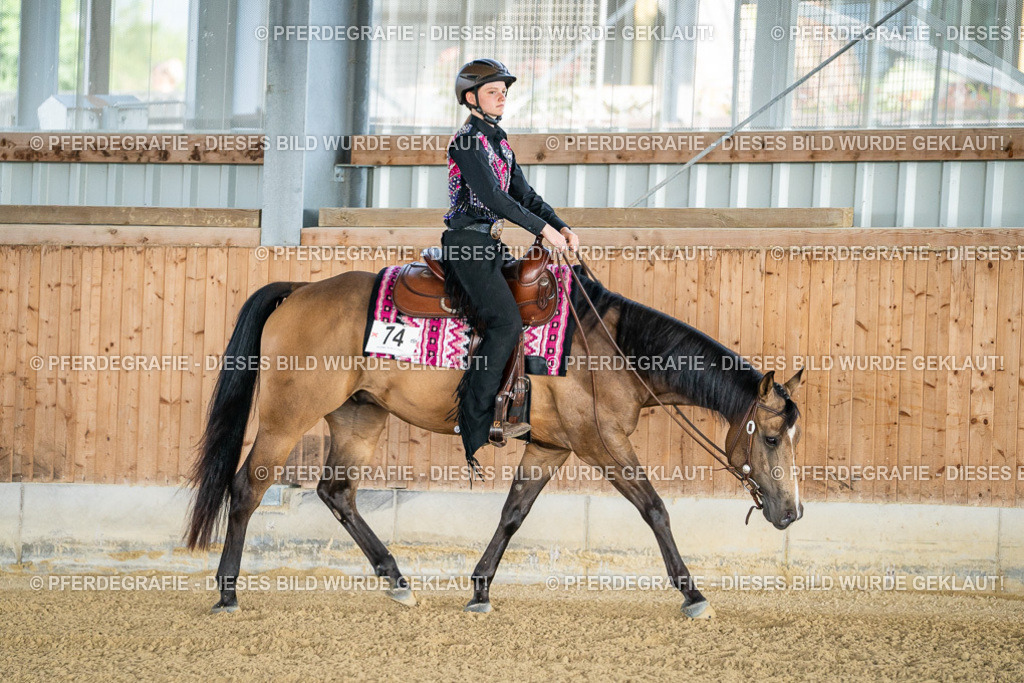 DSC07854 | Pferdegrafie