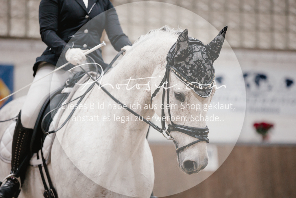 3I6A6120 | Stimmungsvolle Portraits und Reitsportfotografie im Ruhrgebiet und im Münsterland.

Pferdefotografie, Hundefotografie, Tierfotografie, Reportagen, Portraits von Tier und Mensch, Turnierfotografie in Bochum, Recklinghausen, Marl, Haltern am See, Dülmen.. - Realisiert mit Pictrs.com