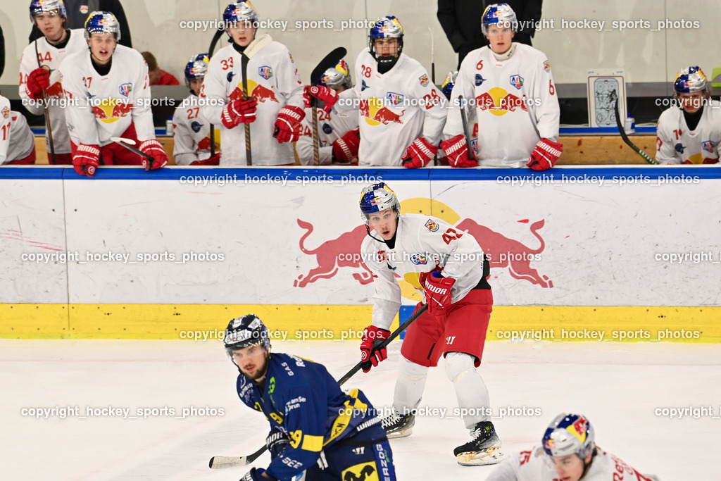 RED BULL HOCKEY JUNIORS vs. EK DIE ZELLER EISBÄREN | #42 Lanzinger Florian RED BULL HOCKEY JUNIORS, RED BULL HOCKEY JUNIORS vs. EK DIE ZELLER EISBÄREN, RED BULL HOCKEY JUNIORS vs. EK DIE ZELLER EISBÄREN am 14.01.2025 in Salzburg (Eisarena Salzburg), Austria, (Photo by Bernd Stefan)