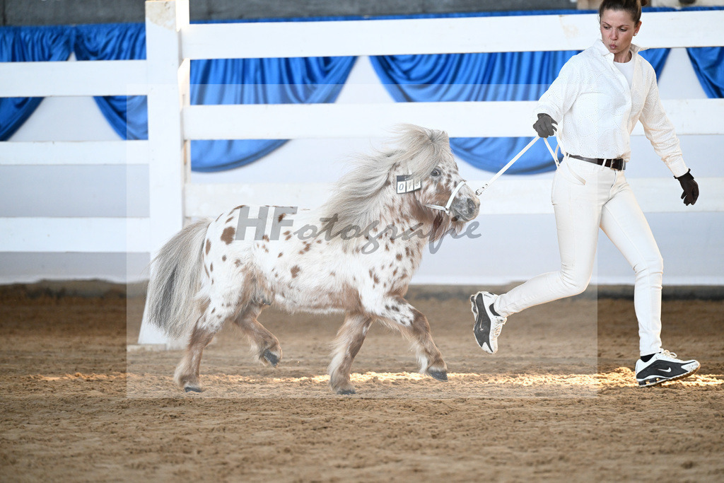 Kat-Nr. 18 Belis Nevada v. Napoleon_Hock_9260439 | hf-fotografie - Realisiert mit Pictrs.com
