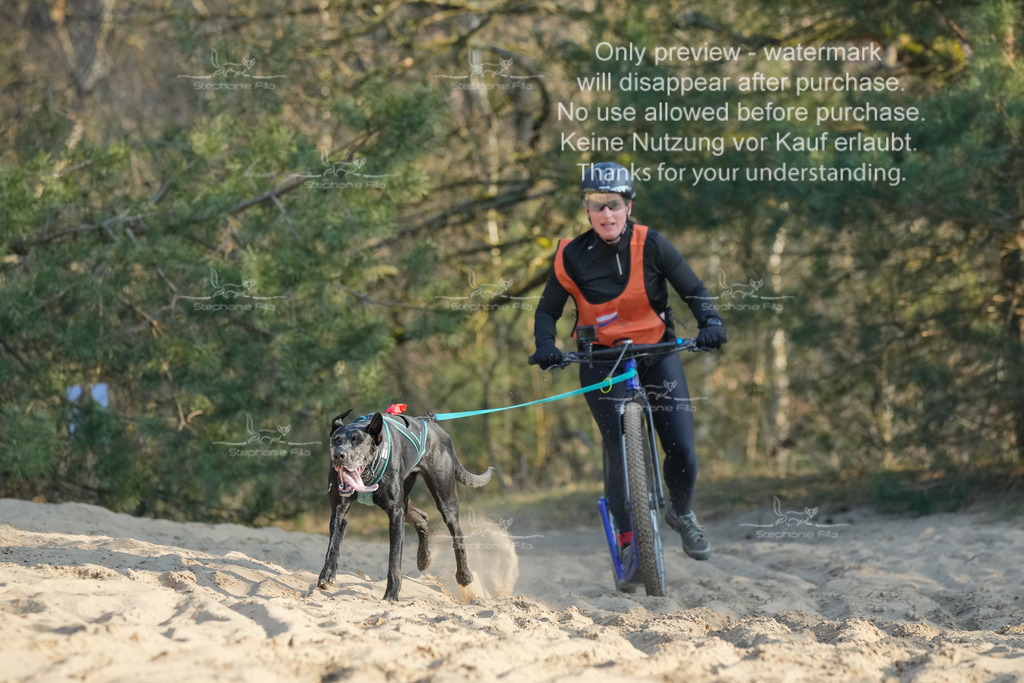 So_Scooter-40 | stephaniefillaphotographie - Realisiert mit Pictrs.com